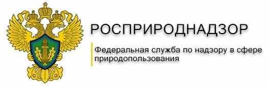 Доклад о деятельности Росприроднадзора